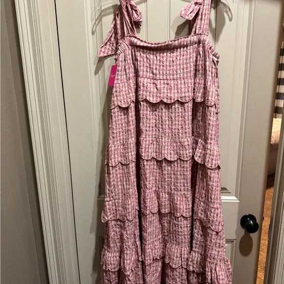 Buddy Love Pink Gingham Maxi Dress - Picture 6 of 6